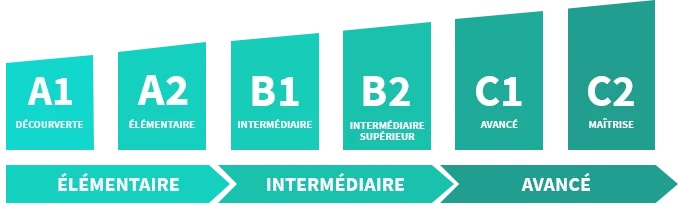 differents_degres_competence_certification_lilate_anglais